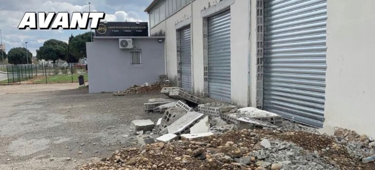 WhatsApp Image 2026-02-18 at 15.45